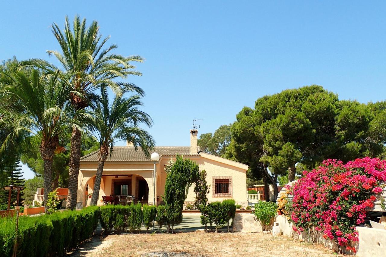 Villa Buganvilla Elche Dış mekan fotoğraf