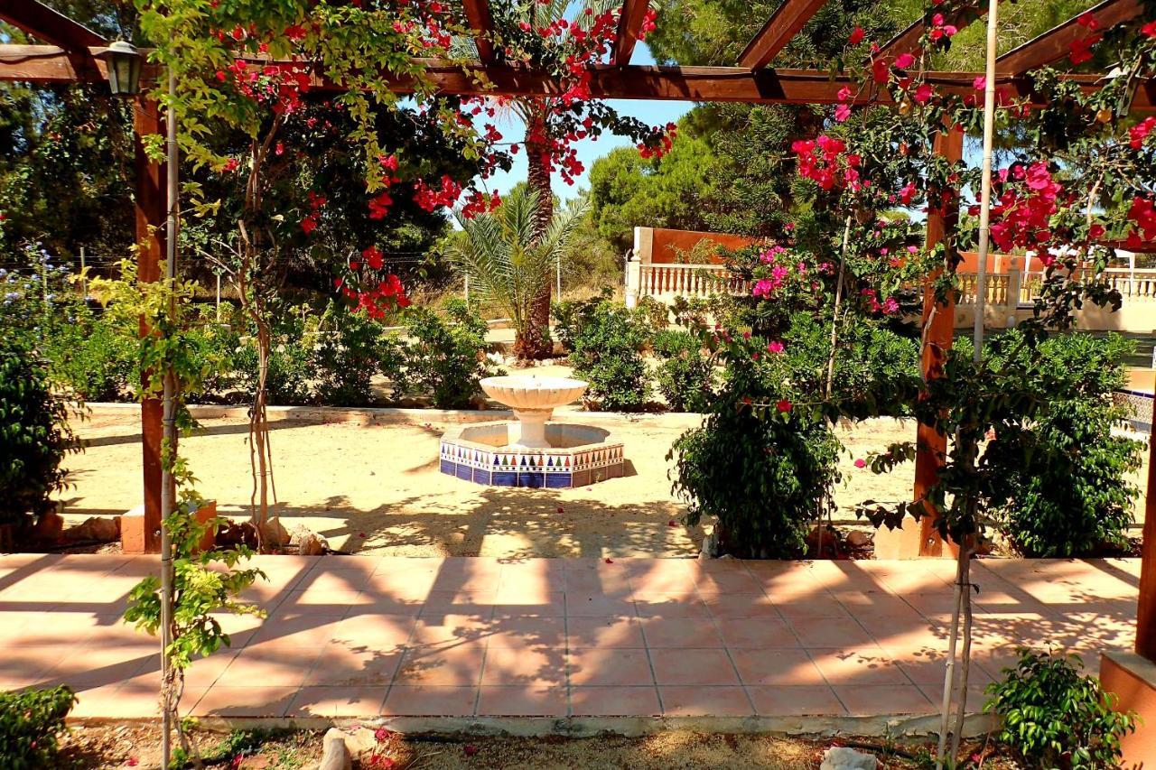 Villa Buganvilla Elche Dış mekan fotoğraf