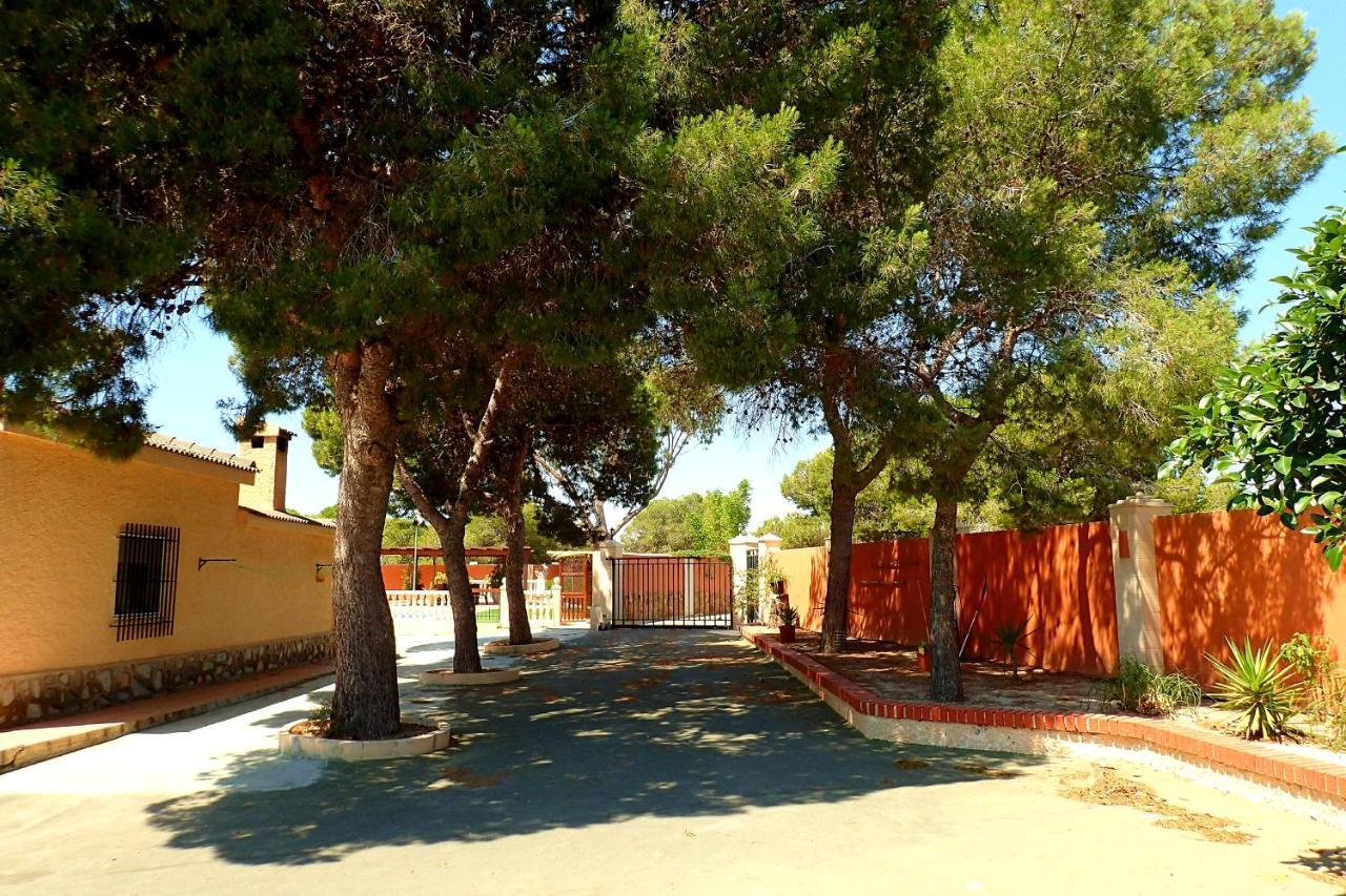 Villa Buganvilla Elche Dış mekan fotoğraf