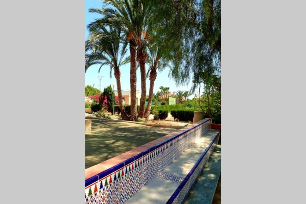 Villa Buganvilla Elche Dış mekan fotoğraf