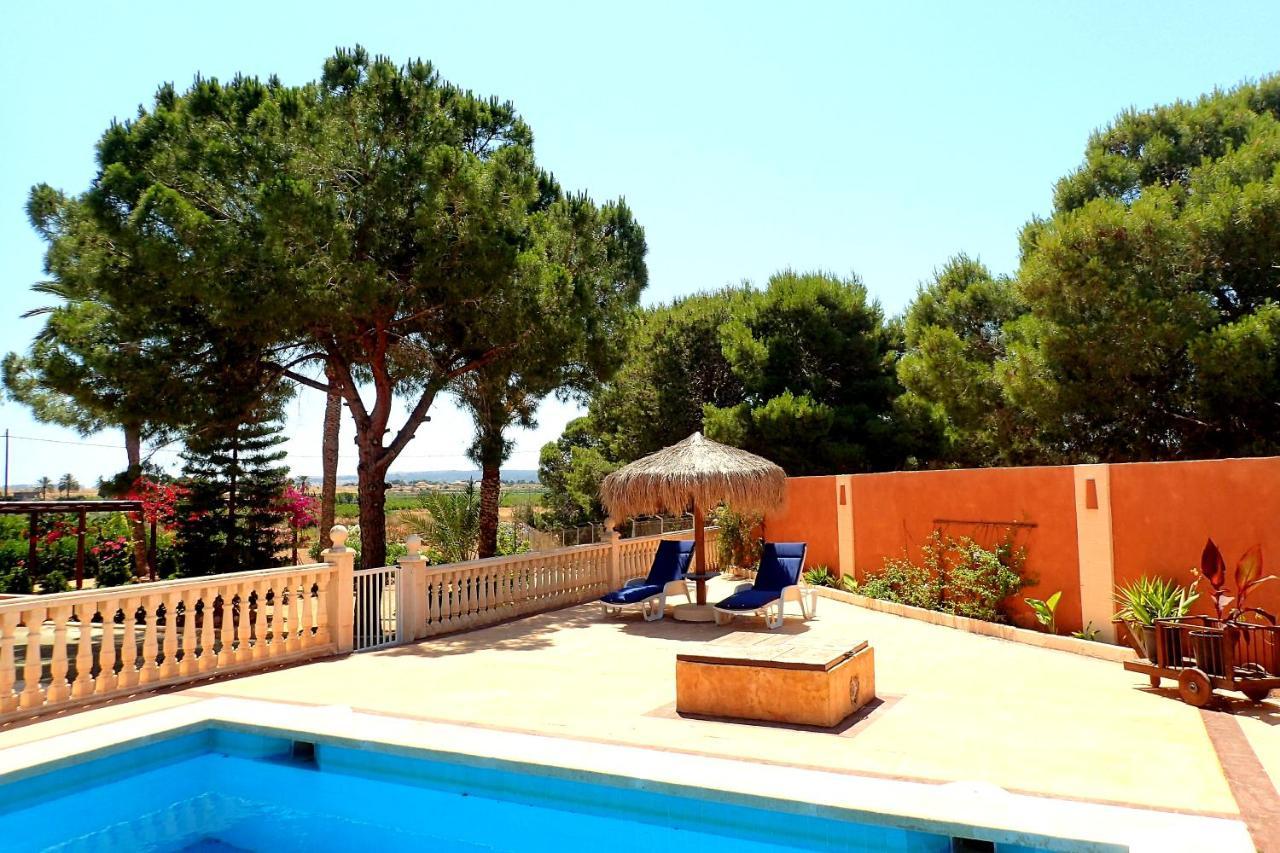 Villa Buganvilla Elche Dış mekan fotoğraf