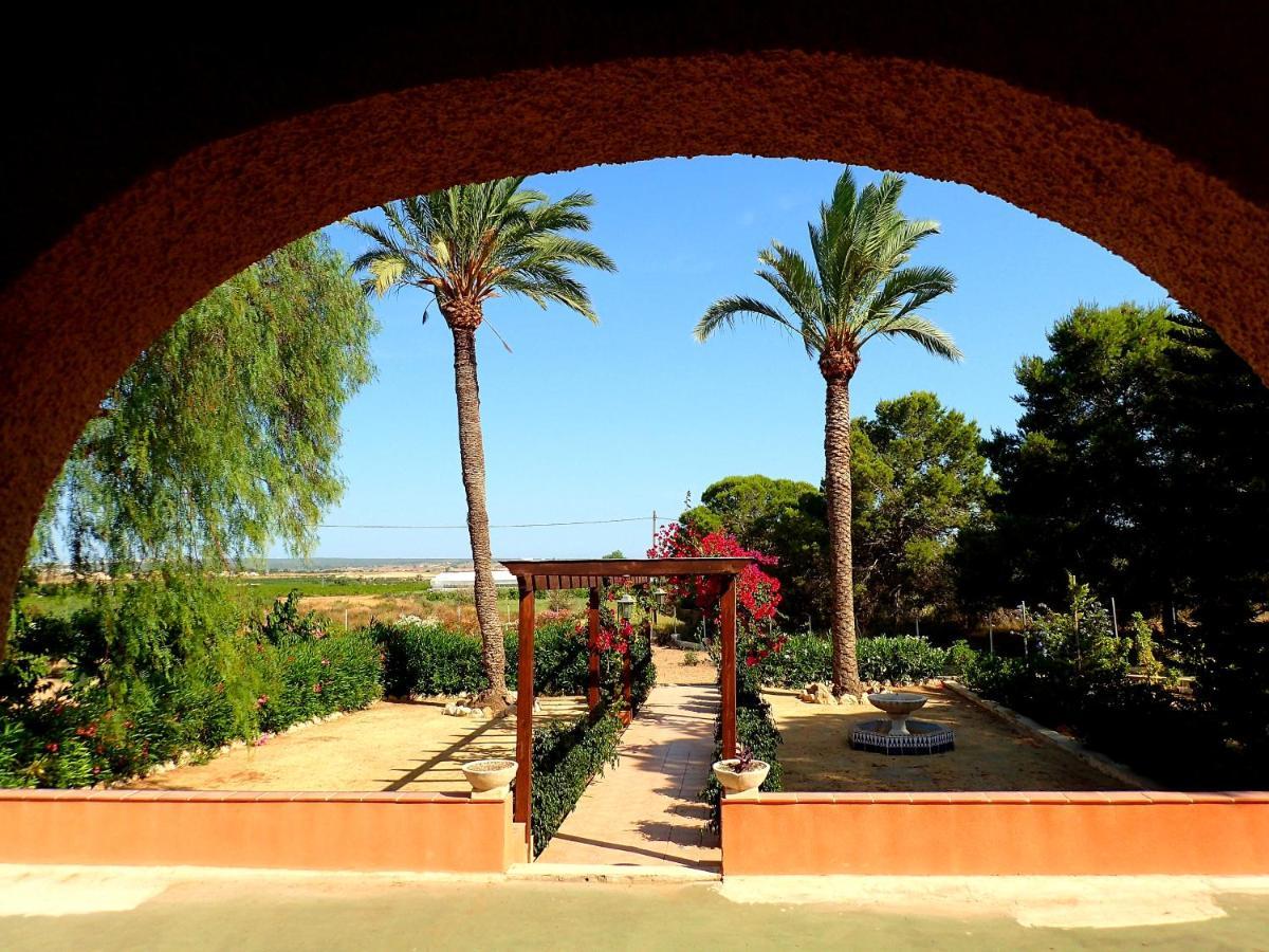 Villa Buganvilla Elche Dış mekan fotoğraf