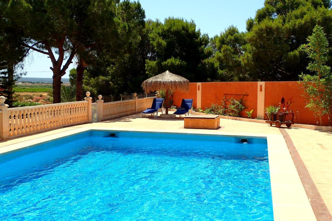 Villa Buganvilla Elche Dış mekan fotoğraf