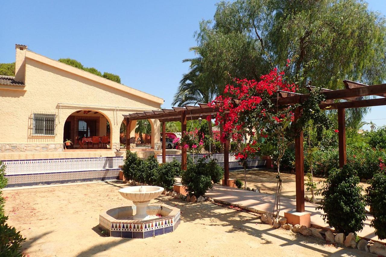 Villa Buganvilla Elche Dış mekan fotoğraf