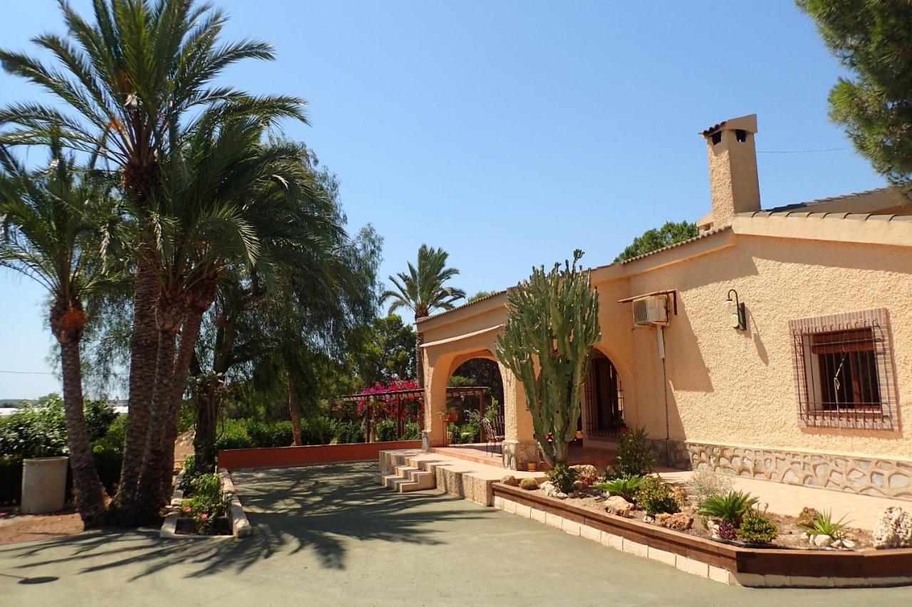 Villa Buganvilla Elche Dış mekan fotoğraf